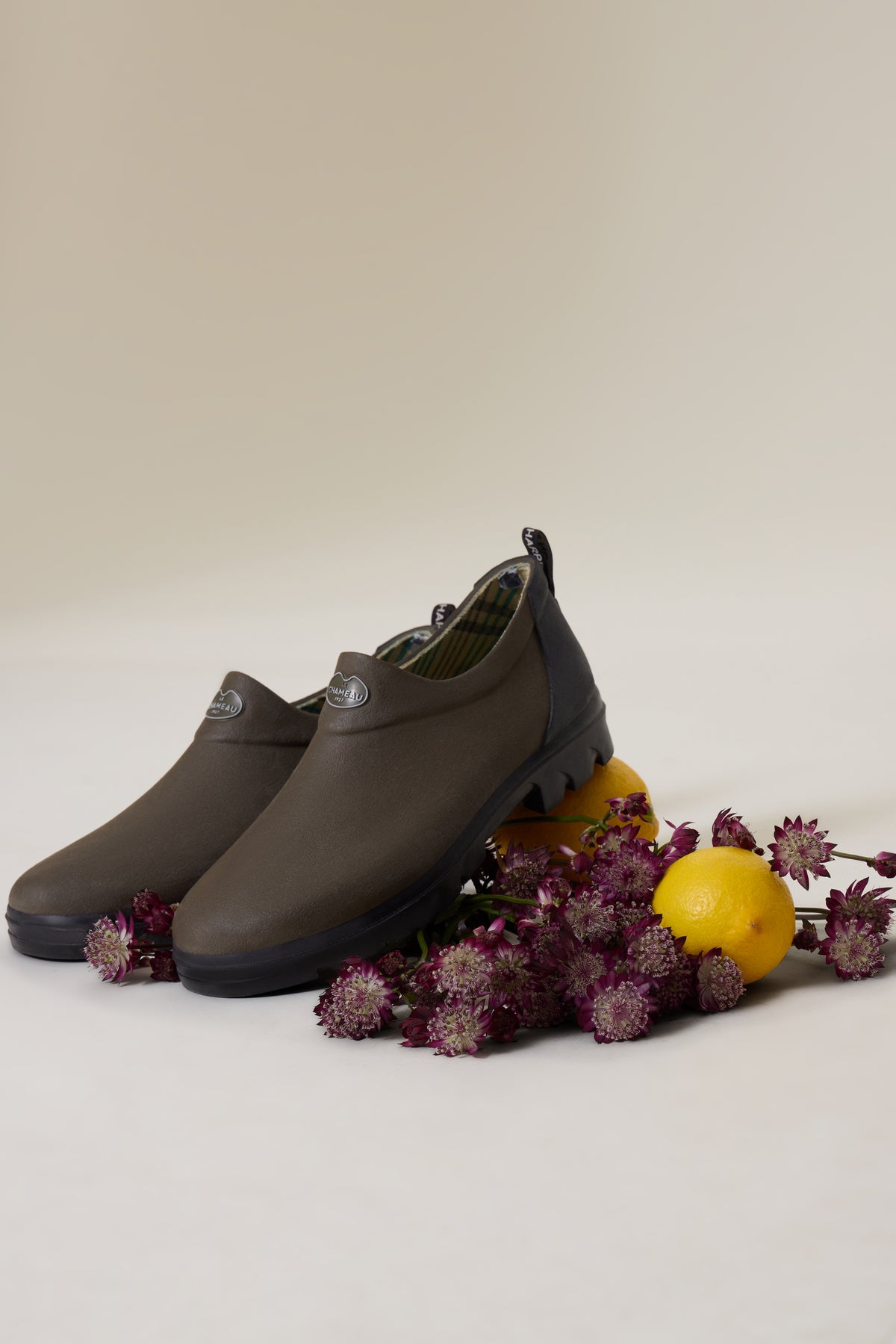 Sabotin Garden Le Chameau - Main Image